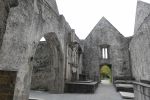 PICTURES/Killarney National Park - Torc Falls & Muckross Abbey/t_DSC00193.JPG